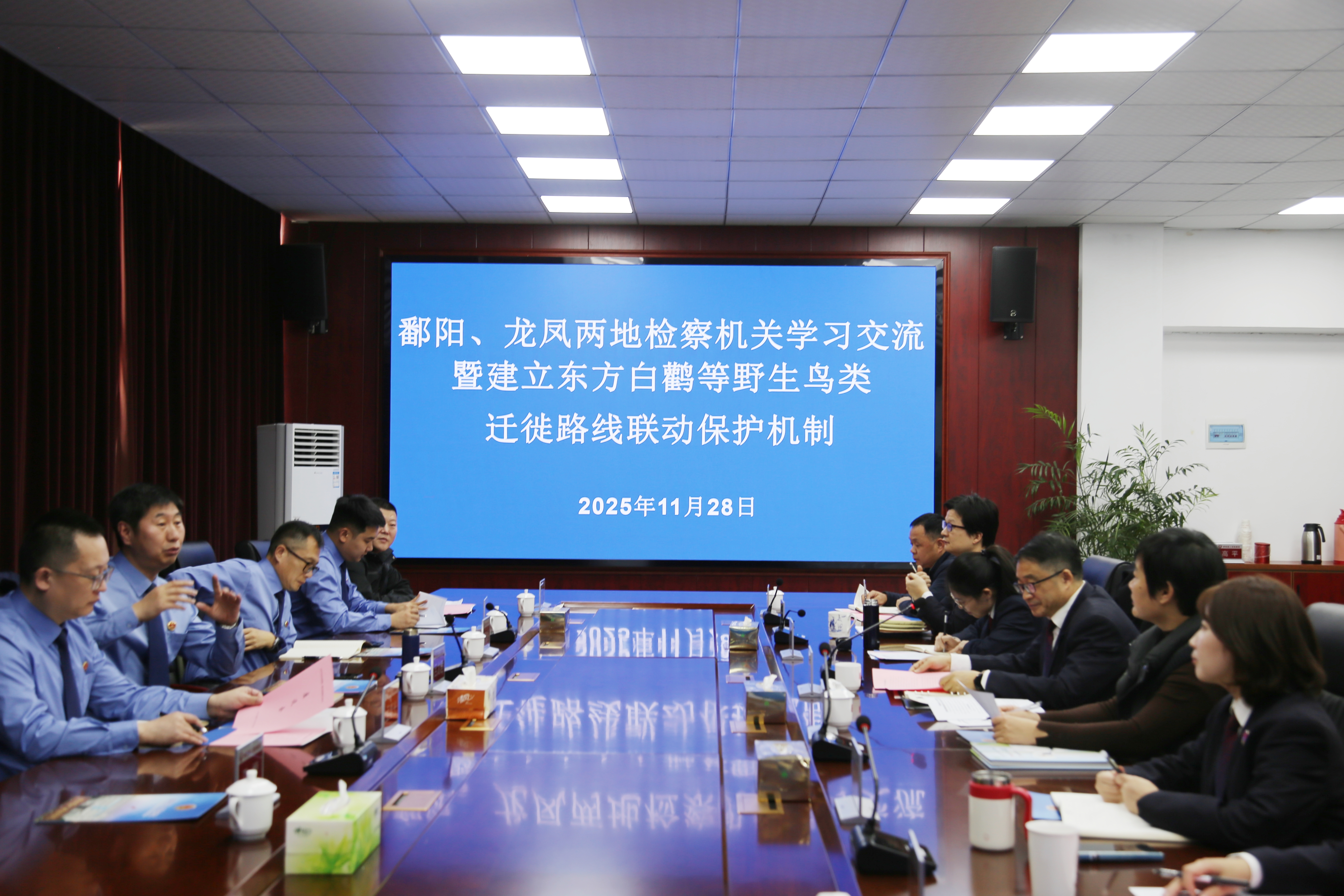 龙凤区检察院与鄱阳县检察院共商候鸟迁徙路线联动保护机制